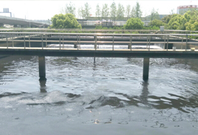 滁州市某化工園區汙水處理（lǐ）廠（chǎng）項目進水水質在...